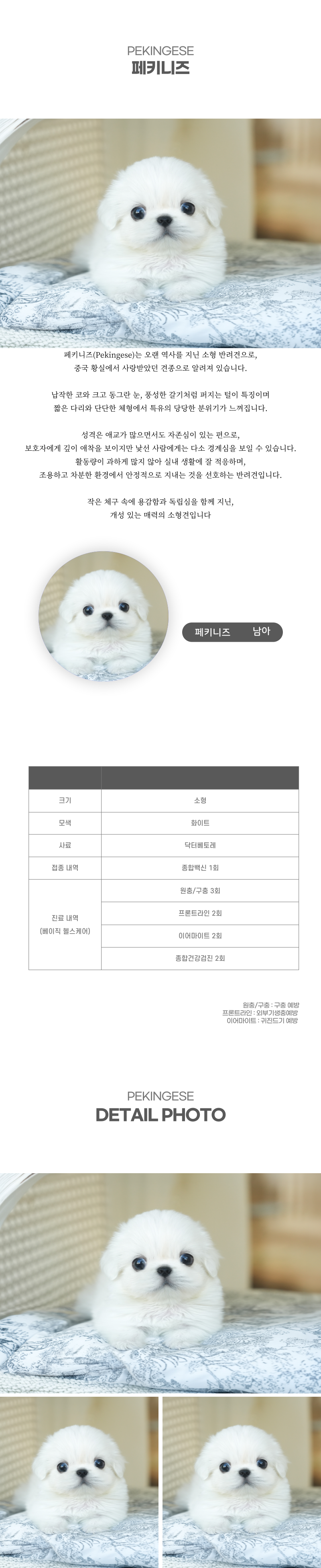 페키니즈_상세이미지_2