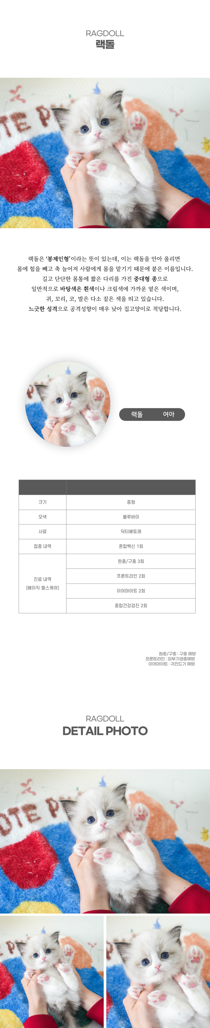 랙돌_상세이미지_2