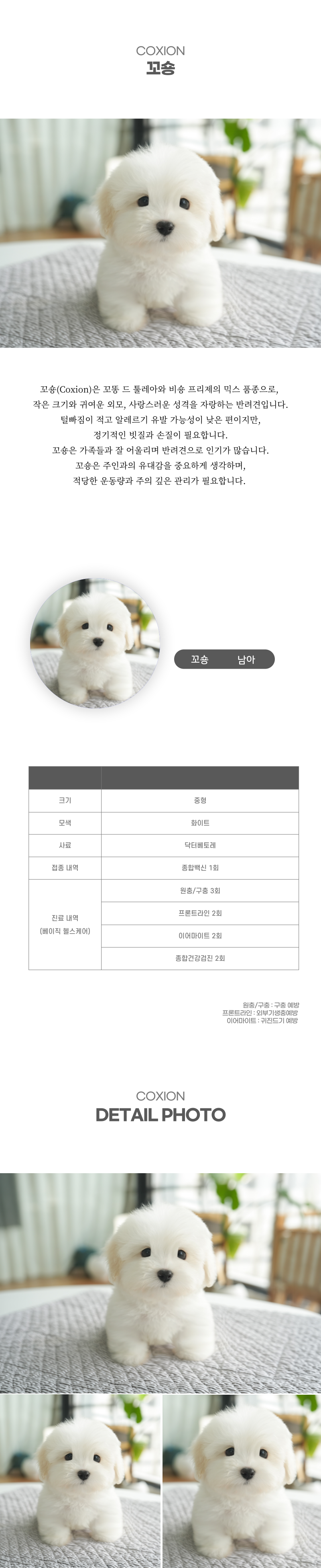 꼬숑_상세이미지_2