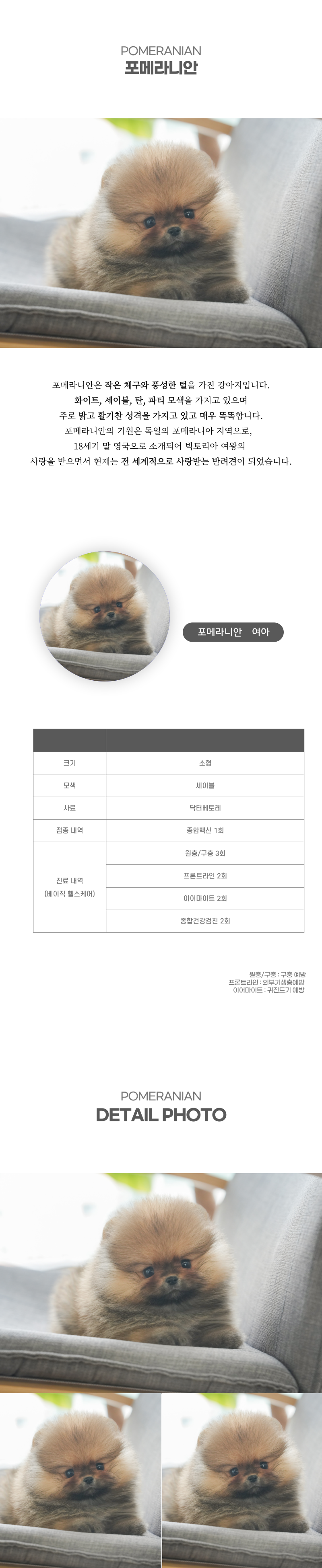 포메라니안_상세이미지_2