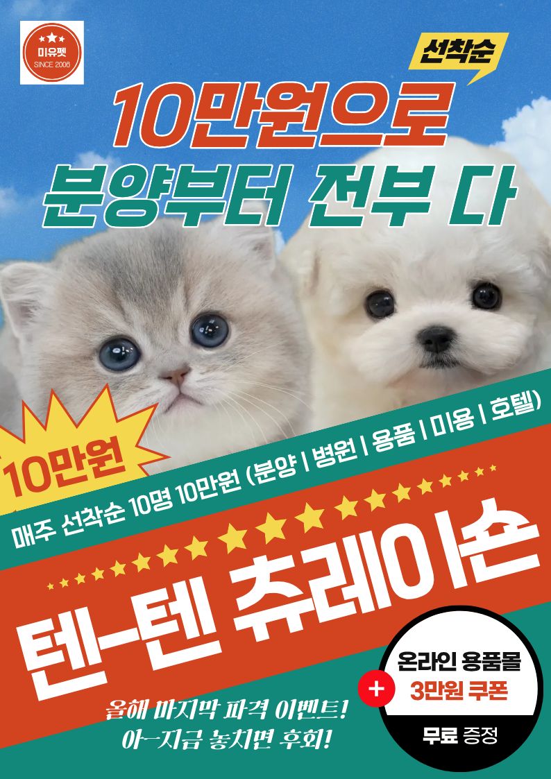 미유펫서울_팝업_3