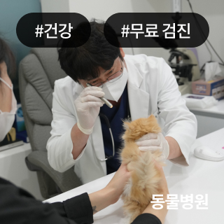 미유펫경기_회사소개_섹션_1_2