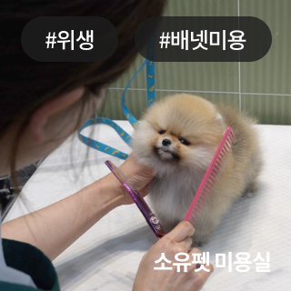 미유펫경기_회사소개_섹션_1_3