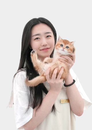 미유펫경기_펫플래너3